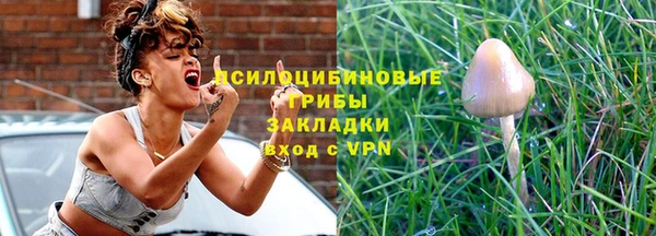 ПСИЛОЦИБИНОВЫЕ ГРИБЫ Баксан